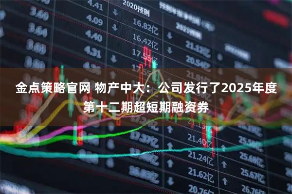 金点策略官网 物产中大：公司发行了2025年度第十二期超短期融资券