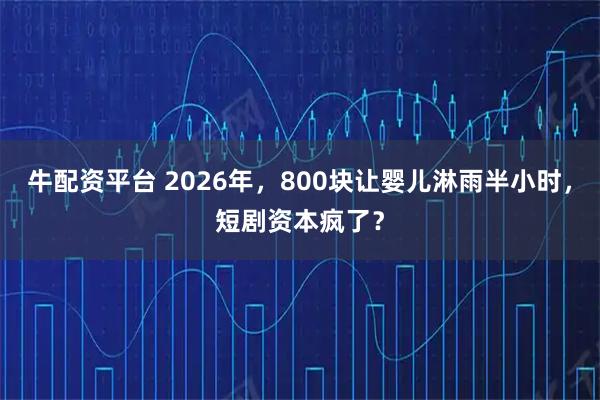 牛配资平台 2026年，800块让婴儿淋雨半小时，短剧资本疯了？